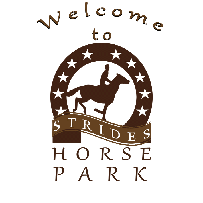 Strides Horse Park Day Center strideshorseparktems: Empowering Adults with Disabilities for Independent and succesful Living